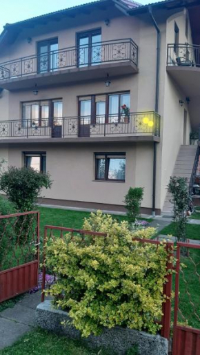 Silva Banja Luka